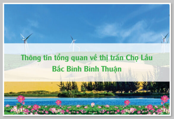 Thông tin tổng quan về thị trấn Chợ Lầu Bắc Bình Bình Thuận