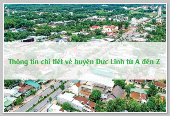 Thông tin chi tiết về huyện Đức Linh từ A đến Z 