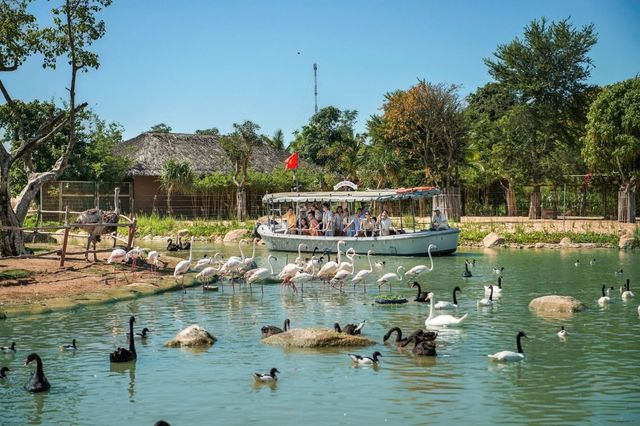 River Safari